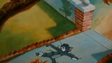 Tom and Jerry 🐱 🐭  Flirty Birdy