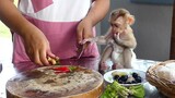 Most Compelling! Super Cute Little boy Maki Sitting on Table And Help Mom Cooking