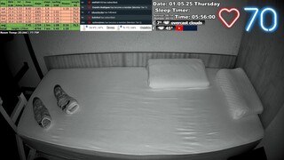Sleep Stream 1.05.2025 wizhunt