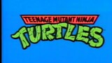 Teenage Mutant Ninja Turtles (1987) - S03E24 - Mutagen Monster.mp4