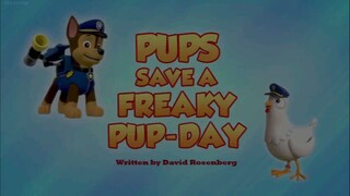 paw patrol musim 6 Episode 13 original