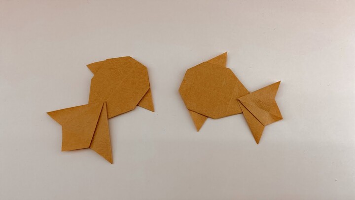 Cách gấp Cá vàng ba đuôi bằng giấy cực đơn giản
