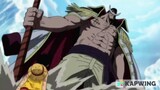 Luffy challenges Whitebeard. (English Dubbed)