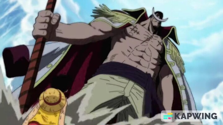 Luffy challenges Whitebeard. (English Dubbed)