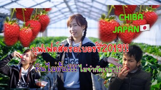 เก็บสตอเบอร์รี่ที่ญี่ปุ่น | มกราคม 2019 |ลูกโตๆหวานฉ่ำไม่จำกัดเวลา! かわっら苺園 Kawatsura Strawberry Farm