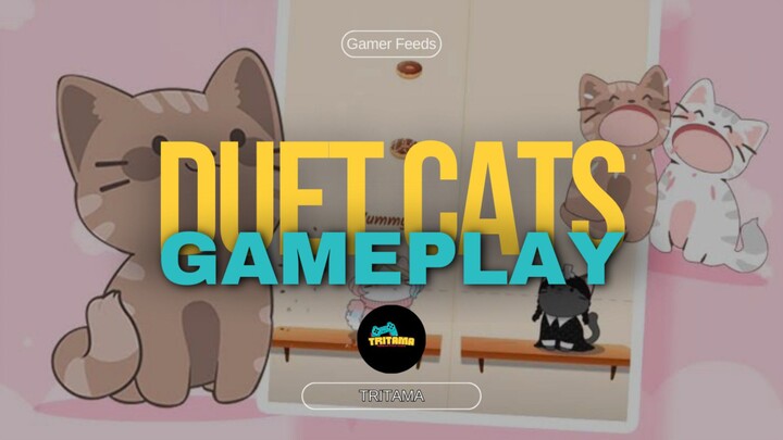Target pasar game untuk pecinta kucing ini 😂 | Duet Cats Gameplay