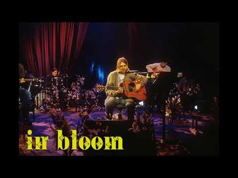 Nirvana - In Bloom (MTV Unplugged)