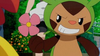 [Pokémon] Hari's bumpy love journey