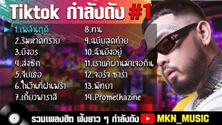 รวมเพลงฮิตในTikTokล่าสุด รวมเพลงฮิตในแอพติ๊กต๊อกล่าสุด - เพลินฤดี รวมเพลงใหม่ล่า