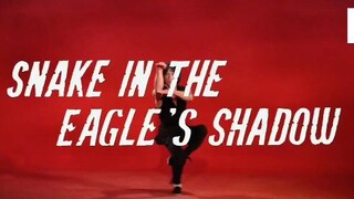 snake in the eagle's shadow