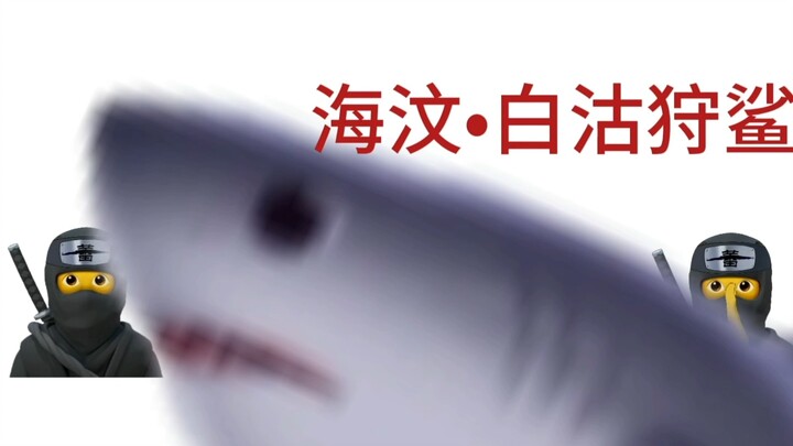 遭遇叛忍袭击