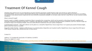 Treatment Of Kennel Cough