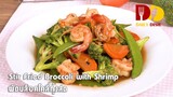 Stir Fried Broccoli with Shrimp | Thai Food | ผัดบล็อคโคลี่กุ้งสด
