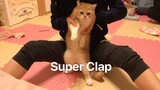 Super Junior - Super Clap Dance Cover by My Cat