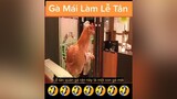 con gà mái làm lễ tân 🤣🤣 reviewphim nntreview2 reviewphimhay