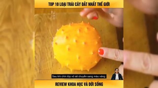 Top 10 Loại Quả Đắt Nhất Thế Giới Có Tiền Chưa Chắc Đã Ăn Được-Review Con Người Và Cuộc Sống