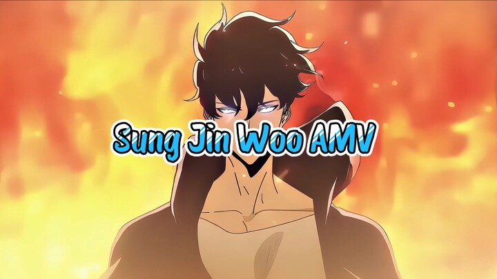 Sung Jin Woo AMV