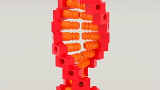 โครงสร้างแบบเกลียวคู่แบบ Building Block ที่เรียบง่าย