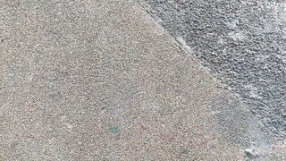 macarena