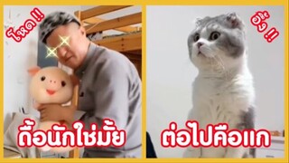 รวมคลิปตลกๆ : นุด~เราไม่ได้ดื้อ…เราเเค่หิวปลาทู!!