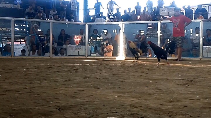 first fight first win