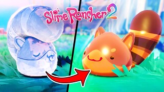 Finding the Secret RINGTAIL Slime in Slime Rancher 2