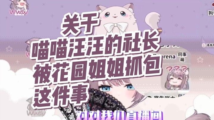 【美月もも】关于喵喵汪汪的社长被花园姐姐抓包这件事