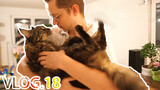 Kucing|Vlog 18-Kucing yang Hilang Selama 100 Jam