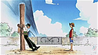 Adventure of The Straw Hat Pirates