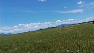 beautiful day 62323