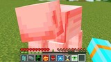 Minecraft but it Gets More Cursed
