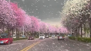 "จู่ๆ ก็มีลมแรงพัดเอาฝนดอกไม้แสนโรแมนติกมาทั่วเมือง~"