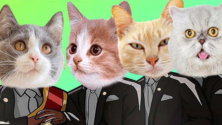 Funny Cute Cat Moment - Coffin Dance Meme ( Cover )