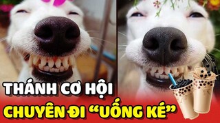 Thanh niên Chó "VÔ DUYÊN" nhất năm, uống TRÀ SỮA của người khác như của mình 😂 | Yêu Lu