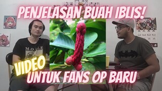 Penjelasan buah iblis bagi pemula | One Piece | buah iblis secara umum