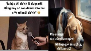 Ảnh chế meme - ảnh chế hay - ảnh chế hài hước, ảnh chế troll không thể nhịn cười P11 - Mới nhất 2021