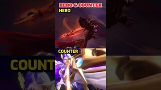 HERO & COUNTER PART 14
