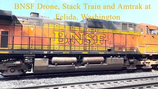 BNSF Drone, Stack Train and Amtrak at Felida, Washington.