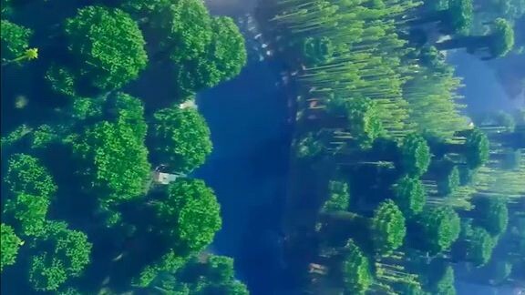 Minecraft view