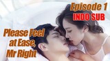 【INDO SUB】FULL EPISODE 01丨Please Feel at Ease, Mr Right丨Yi Bu Xiao Xin Shi Dao Ai丨一不小心拾到爱