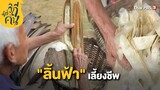 "ลิ้นฟ้า" เลี้ยงชีพ | ช็อตเด็ด ซีรีส์วิถีคน | ซีรีส์วิถีคน