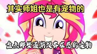 【彩虹小马解析】你还记得主角团的宠物吗，实际上连露娜和师姐也是有宠物的。