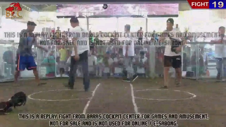 fight 19 super