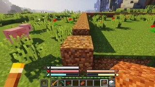 Câu chuyện trồng trọt trong thế giới loài người Minecraft 13 Bắt đầu đổ móng nhà