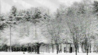 16. Winter Sonata/Tagalog Dubbed Episode 16 HD