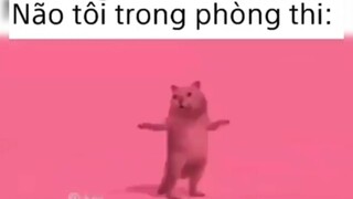 Não tôi trong phòng thi