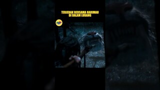 Terjebak bersama harimau di dalam lubang #alurceritafilm #alurfilm