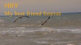 #Minha BFF My best friend forever - Minha melhor para sempre