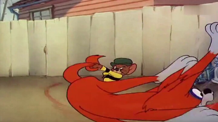 Episode paling menyenangkan dalam sejarah Tom dan Jerry, Tom dipukuli dan Jerry menjadi kaisar
