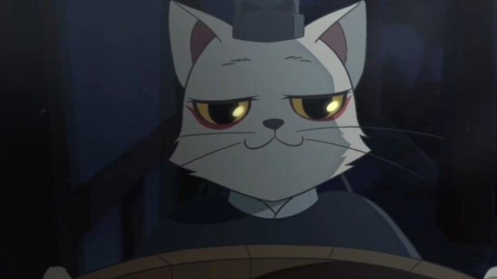 You've never seen such a funny cat, right? (sly smile)
